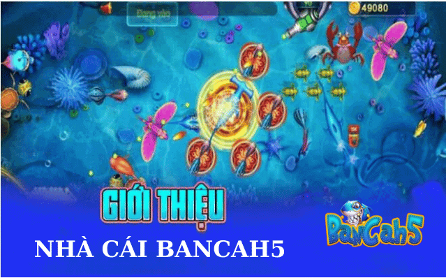 Giới thiệu nhà cái bancah5 uy tín